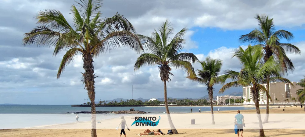 Plaża w stolicy lanzarote
