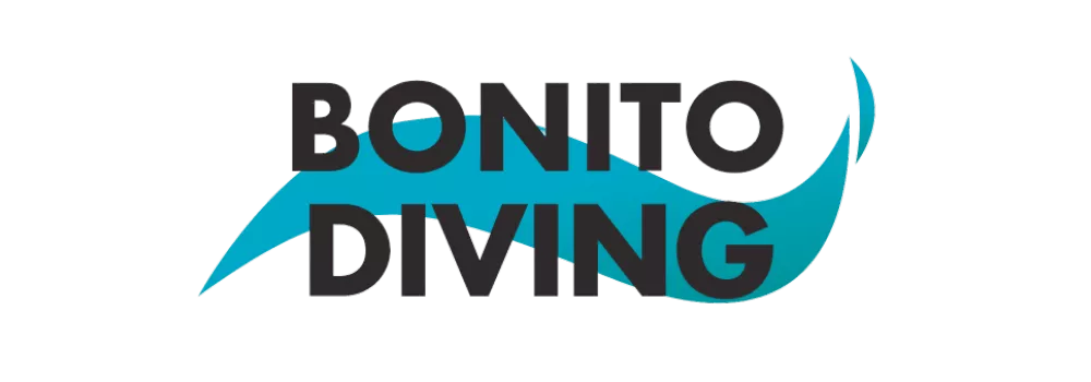 Logo bonito diving