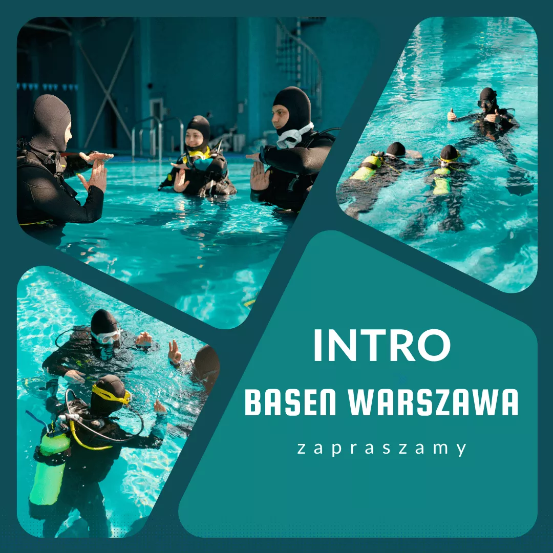 zdjecie nurków na basenie w warszawie