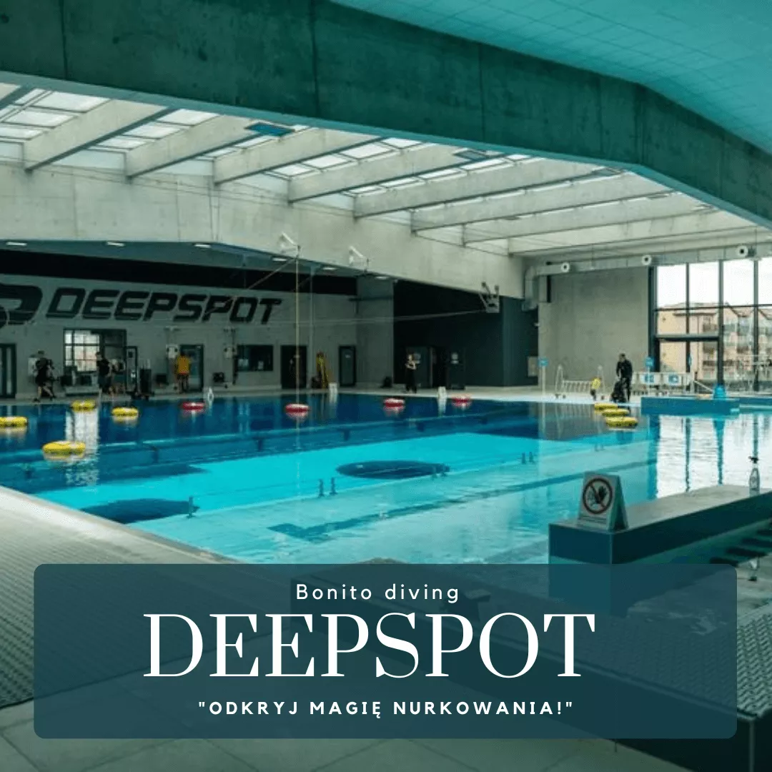 basen deepspot w mszczonowie płyta basenu